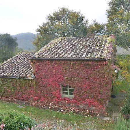 Stallina * Montone (Umbria)