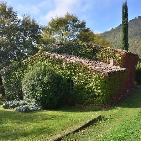 Stallina Montone (Umbria)